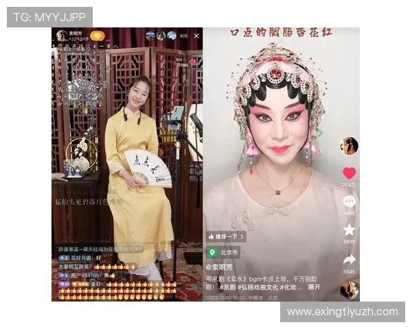 海星直播国际站积极布局海外市场,推动中国文化走向世界舞台